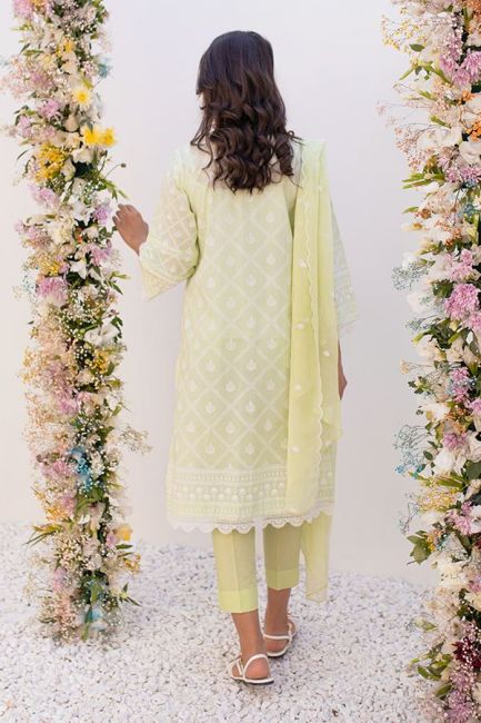 Green Printed Lawn Pakistani Suit Set With Embroidery