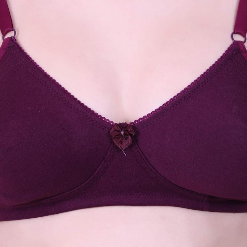 Lovable Women Full Coverage Classic Non Padded Bra Violet