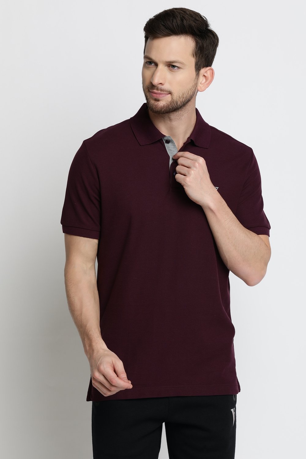 Van Heusen Men's Purple Polo neck Collar T Shirt