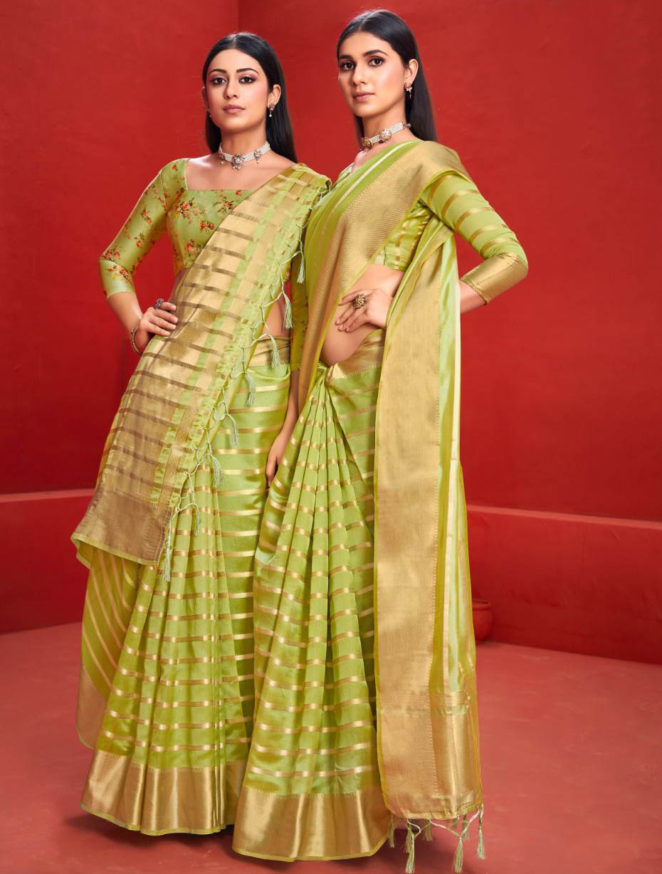 Organza Silk Golden Zari Border Green saree with Two Blouses
